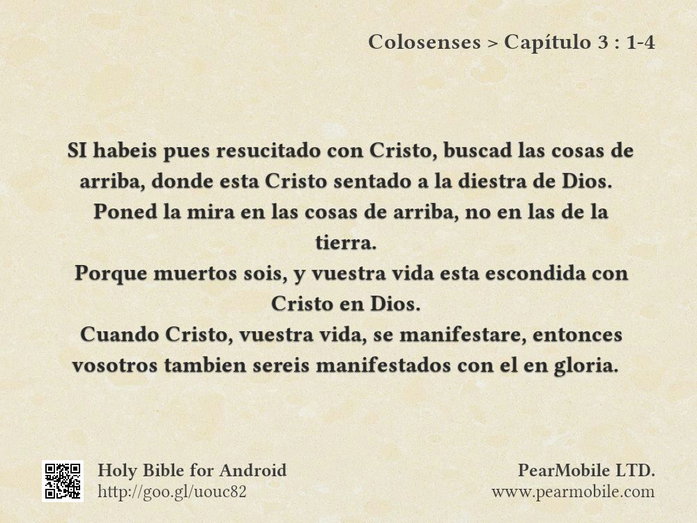 Colosenses, Capítulo 3:1-4